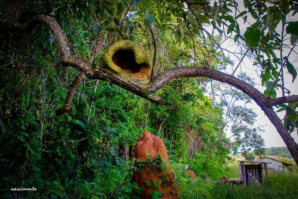 Pousada Shangrila Sao Thome São Tomé das Letras Buitenkant foto